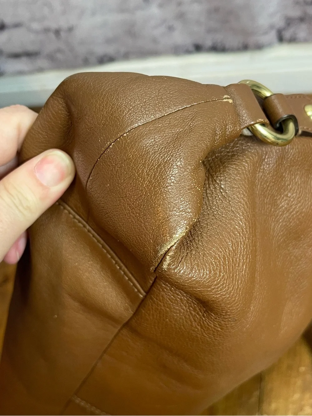 Coach Ashley purse tan brown project bag